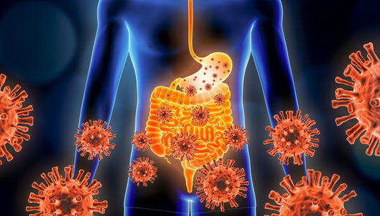 Dealing with Gastroenteritis for our ‘Lolos and Lolas’ - LivBalance