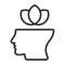 Icon 1
